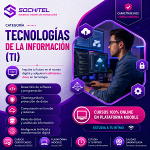 CATEGORÍA TECNOLOGIAS DE LA INFORMACION