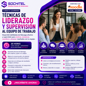 Curso Técnicas de Liderazgo y Supervisión al Equipo de Trabajo