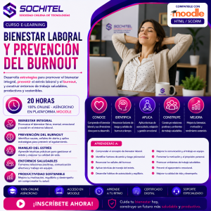 CURSO: Bienestar Laboral y Prevención del Burnout